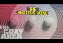 Why you’re anxious (and why that’s actually normal) | The Gray Area