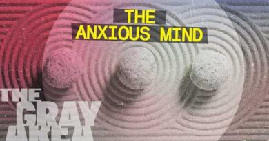 Why you’re anxious (and why that’s actually normal) | The Gray Area