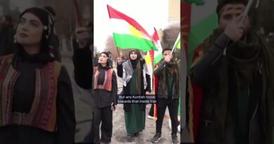 Will Kurdish fighters help the US in Iran? | DW News