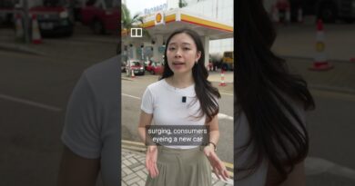 Will oil shocks trigger a Chinese EV buying spree?