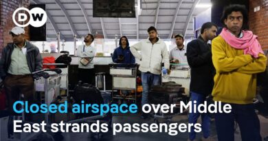 World facing biggest disruption to air travel since Covid pandemic | DW News