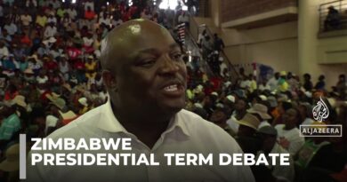 Zimbabwe Presidential Term Debate: Consultations Begin on Constitutional Amendment