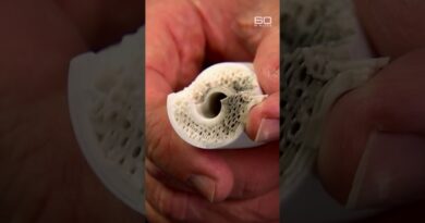 3D printers used to create guns | 60 Minutes Australia