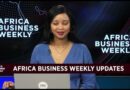Africa Business Weekly: IMF downgrades both South Africa and Nigeria
