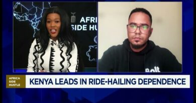 Africa Side Hustle: Digital hustle: mapping the African gig economy