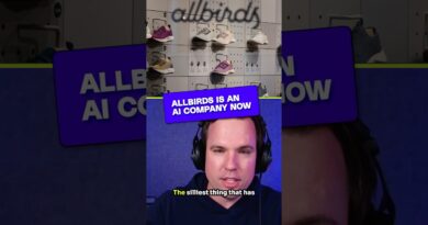 Allbirds announced a switch from shoes to AI. #Vergecast