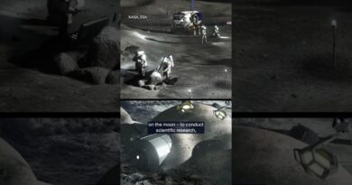 Artemis 2: Humans return to the Moon | DW News