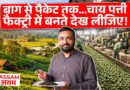 Assam Tea Production सीधा Factory के अंदर देख लीजिए, 1 लाख की चाय का सच क्या निकला?