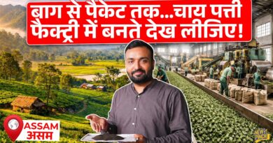Assam Tea Production सीधा Factory के अंदर देख लीजिए, 1 लाख की चाय का सच क्या निकला?