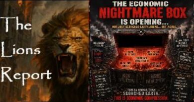 Bailouts, Dollar Backstops, and Risk. Mannarino