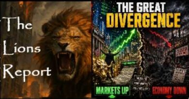 Bailouts, Zombie Firms, Foreign Government Dollar Support, and You… Mannarino