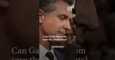Can Gavin Newsom save the Democrats? | The Economist