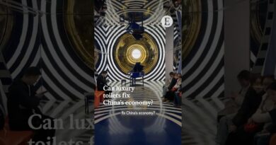 Can luxury toilets fix China’s economy? | The Economist