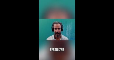 CF Industries: Buy, Sell, Hold?