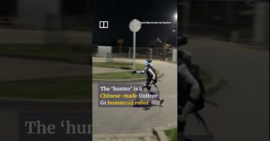 Chinese robot chases away boars in Poland