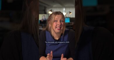 Could the Houthis block the Bab el-Mandeb strait? | DW News