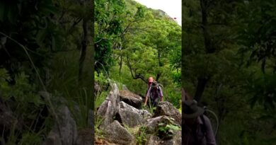 Cruise passenger’s mysterious death on remote island | 60 Minutes Australia