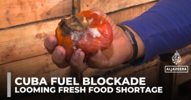 Cuban farmers warn of looming fresh food shortage amid US fuel blockade