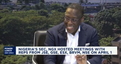 Dangote Refinery IPO to test depth of African capital markets