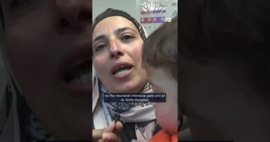 Evacuated from Gaza, premature babies are reunited with parents | DW News