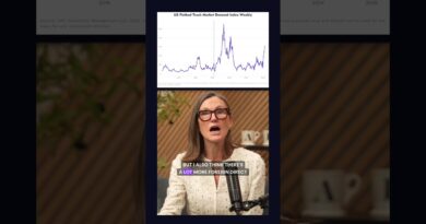 Foreign Investment Into The US