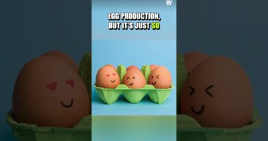 From Shortage To Glut (Every Time)!