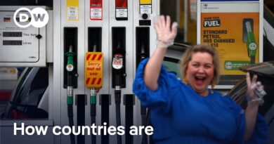 Germany restricts fuel price hikes to once a day as energy crisis deepens | DW News