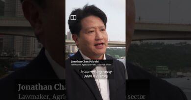 Global fuel crisis grounds 80% of Hong Kong’s fishing fleet ahead of annual moratorium