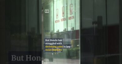 Honda to halt car sales in South Korea