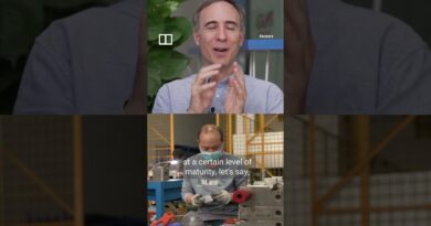 How a Chinese factory learned to live with Trump tariffs, turmoil