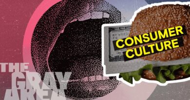 How capitalism ate the culture