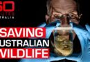 How cloning could be the solution for saving endangered animals | 60 Minutes Australia