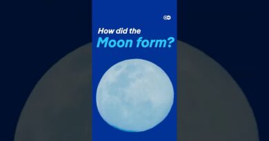 How did the Moon form? | DW Documentary