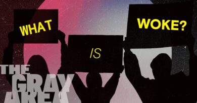 How elites co-opted wokeness