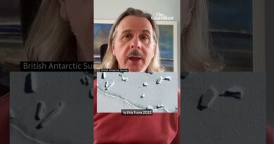 How mass drowning of chicks is putting emperor penguins at risk of extinction