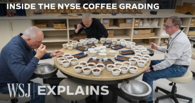 How NYSE Coffee Tasters Help Shape the $250B Global Market | WSJ