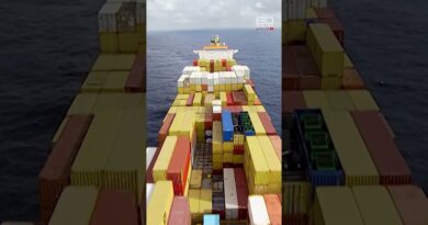 How whales were at great risk of extinction | 60 Minutes Australia