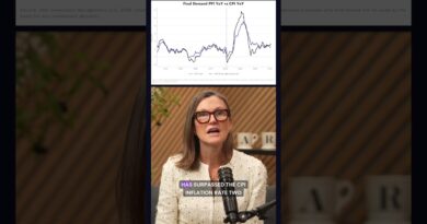 Inflation Trends: PPI vs CPI