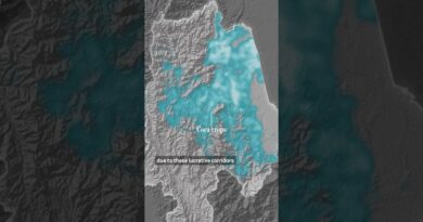 Inside the Heart of Colombia’s Cocaine-Fueled War