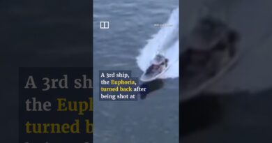 Iran seizes two container ships in Hormuz