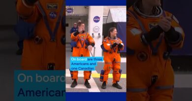 Liftoff to the moon succeeds | DW News