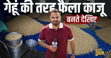 Making of Cashew: आपके घर का काजू यहां से आता है! पेड़ से प्लेट तक पहुचने का Process देखिए।Bengal