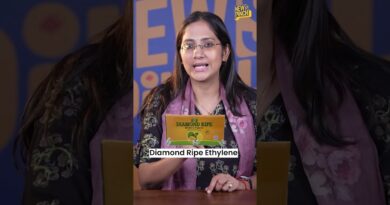 Mango पकाने के लिए Ban Chemical, खुलासे ने होश उड़ा दिए | आम खरीदते वक्त क्या जरूर चेक करें?