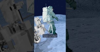 Moonwalk: How Apollo astronauts missed their target by 20 meters | DW News