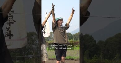 Mud wrestling part of the lessons at farm teaching Hongkongers how to plant rice