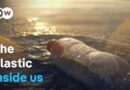 Nano- and micro-plastics: The invisible danger to the body | DW Documentary