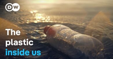 Nano- and micro-plastics: The invisible danger to the body | DW Documentary