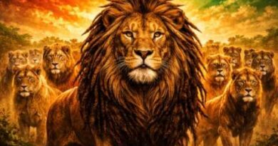 NO LION LEFT BEHIND… One Way Or The Other. COME HOME. (CHECK THE VIDEO DESCRIPTION). Mannarino