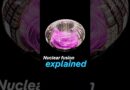 Nuclear fusion explained | DW Documentary