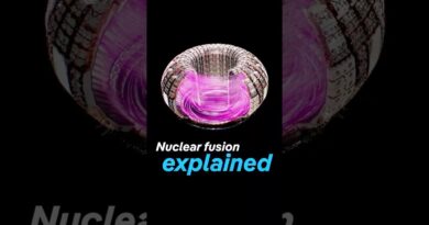 Nuclear fusion explained | DW Documentary
